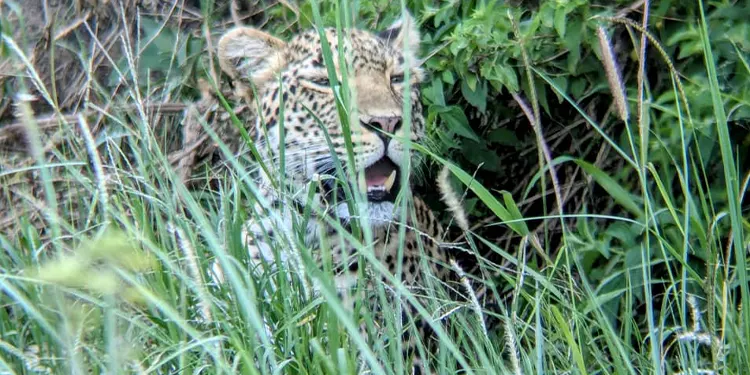 serengeti national park