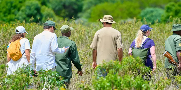 Tanzania safari national parks