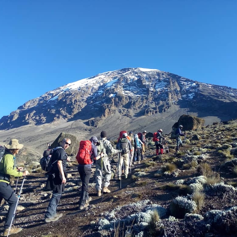 Conquer Mount Kilimanjaro: The Roof of Africa Awaits