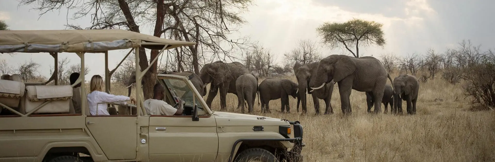 Budget-Friendly Safaris