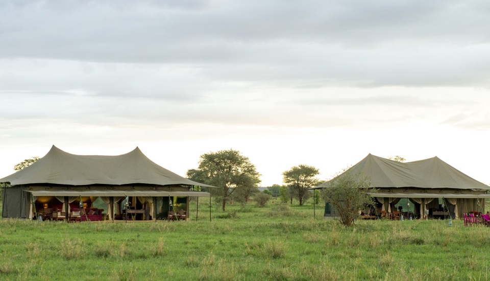 Fly In Serengeti Safari