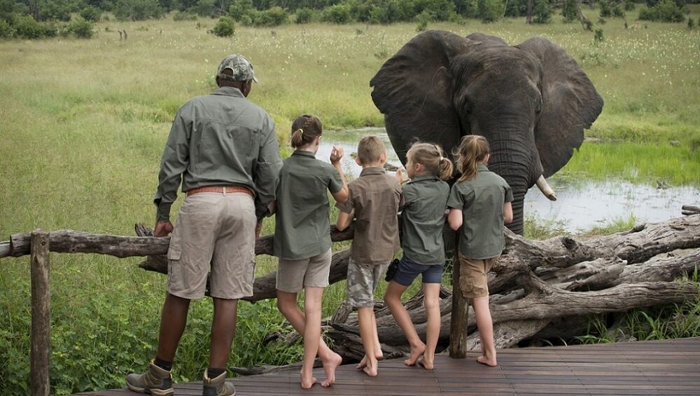 Luxury Family Safari