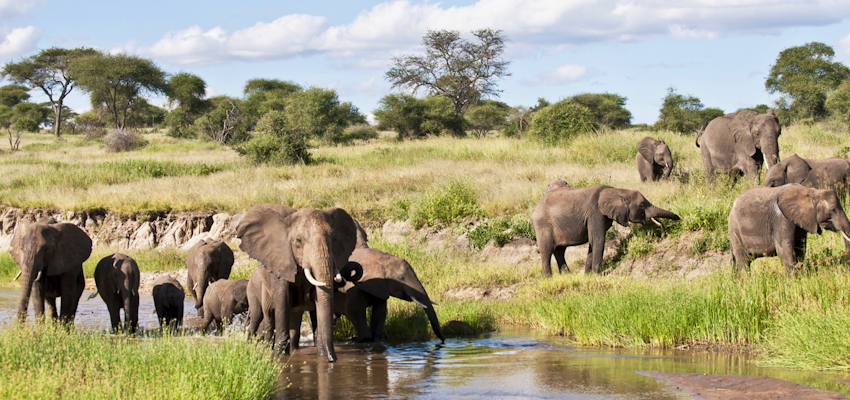 4 Day Joining Safari