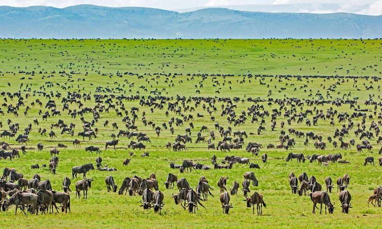 10 Day Ultimate Luxury Getaway