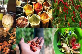 10 Day Ultimate Luxury Getaway