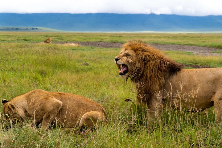 Safari and Beach Holidays in Tanzania