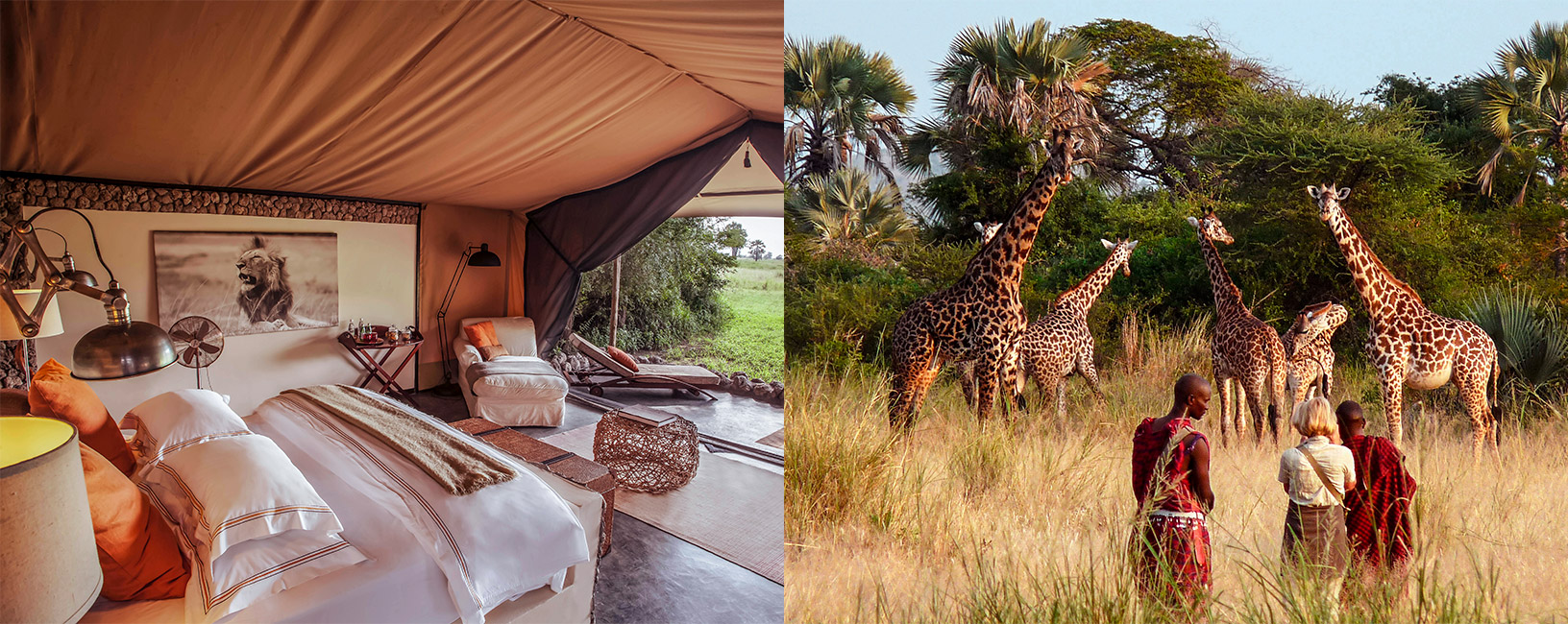 The Best Holiday Safari in Tanzania