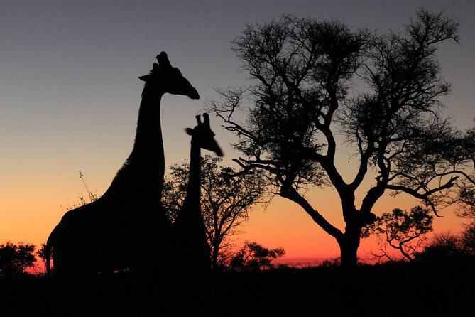 5 Day Honeymoon Safari in Tanzania
