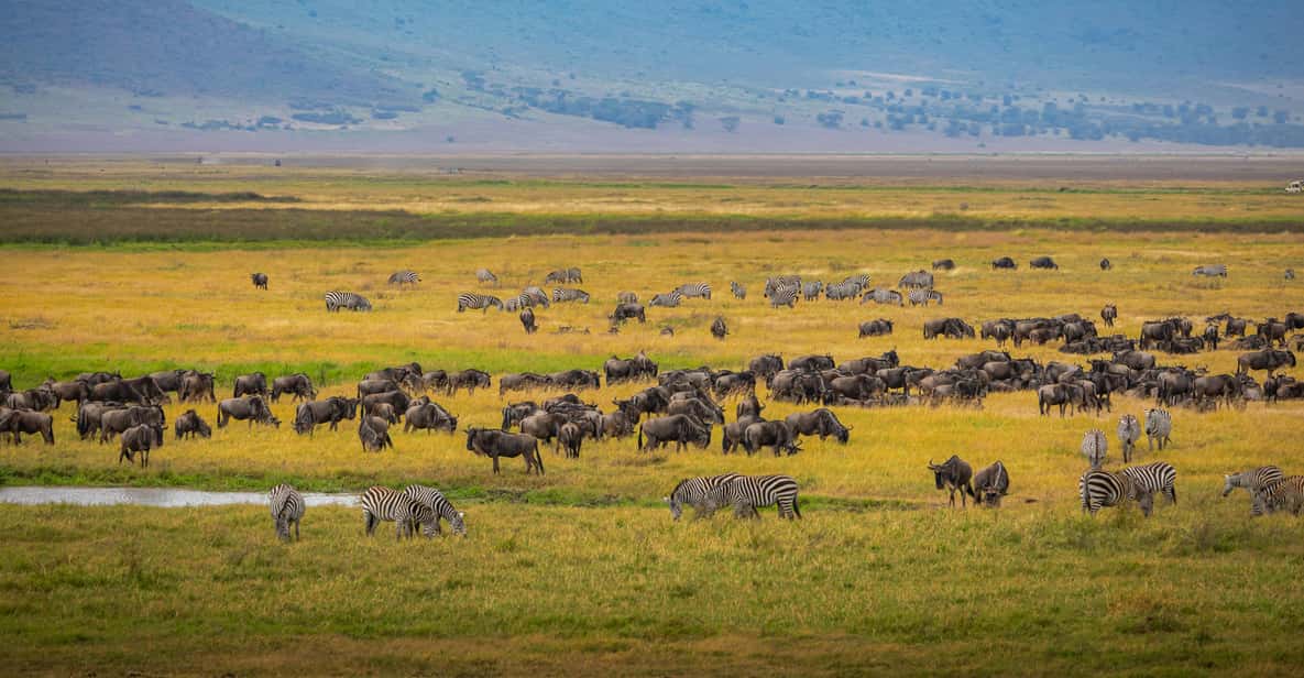  Tanzania Safari Source&rsquo;s 1 Week Holiday Family Escape