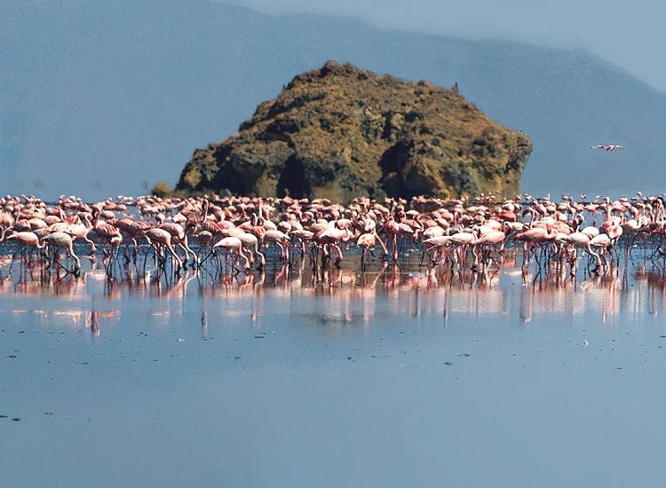 Tanzania Safari Itinerary  This Season