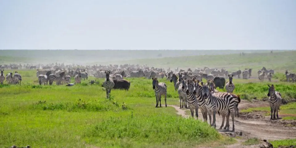 Where to Go on Holiday in November