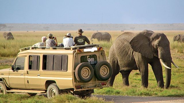 A Serengeti Holiday