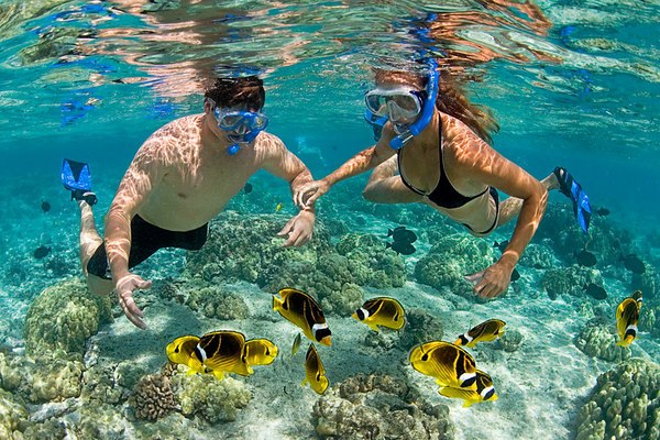 safari zanzibar