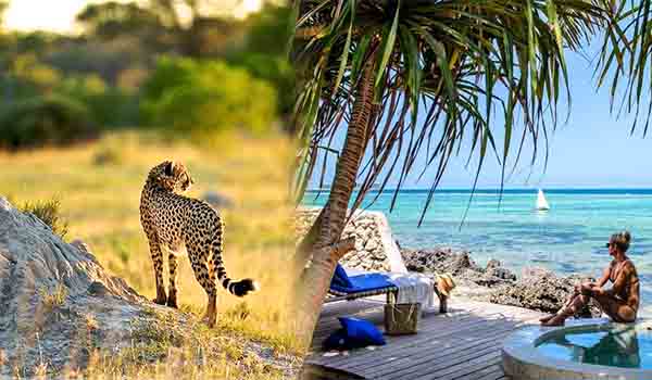 Africa Safari Holiday