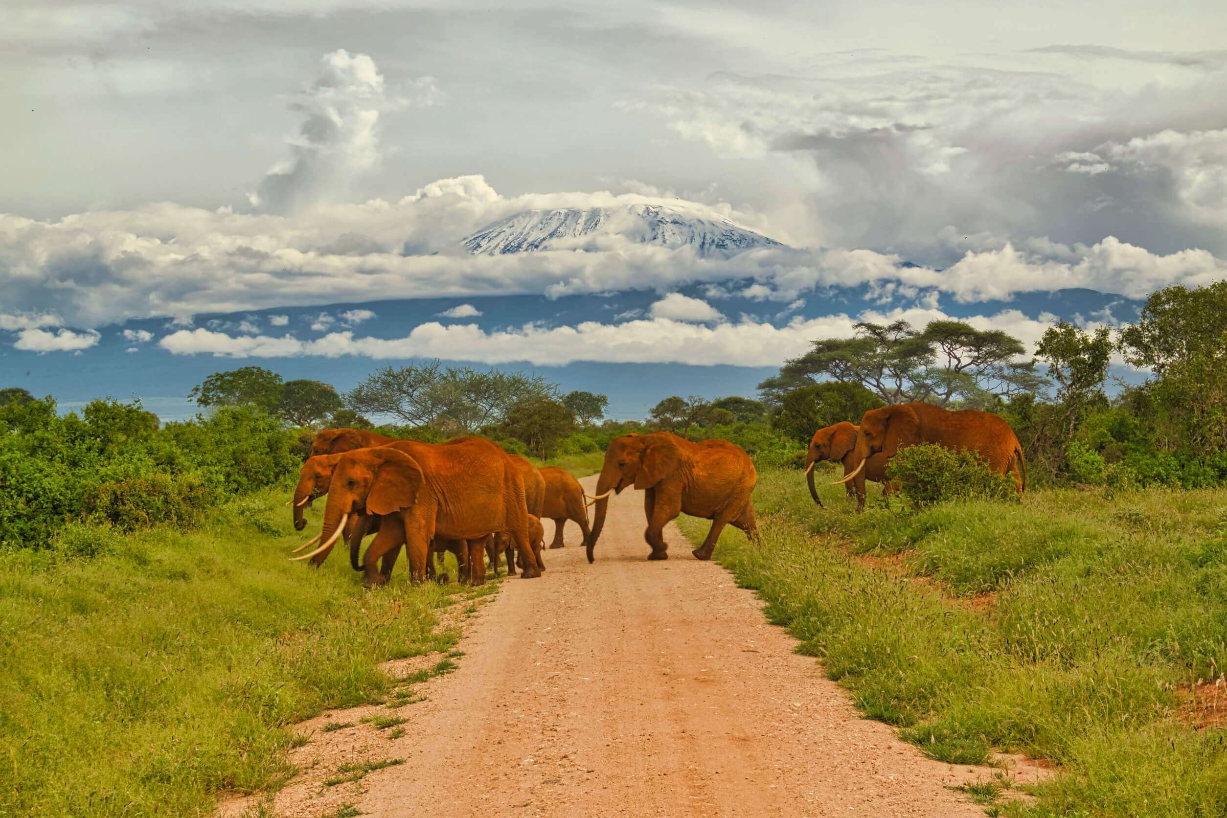 Visiting Tanzania in January