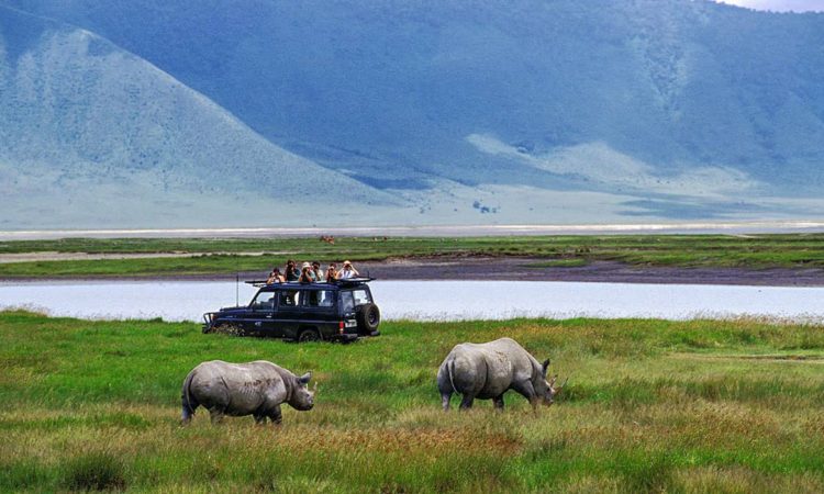 Visiting Tanzania in January