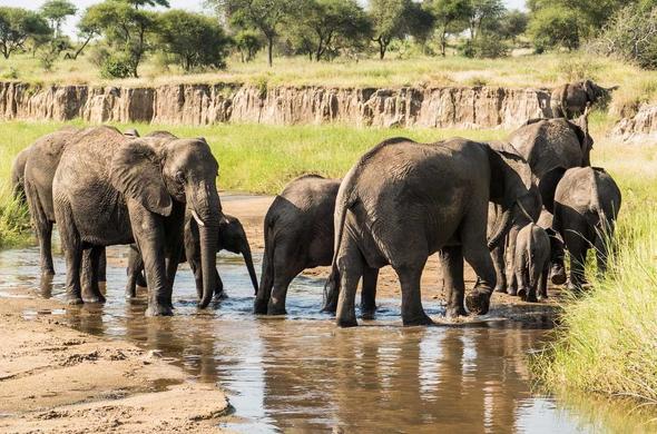 7 Days in the Northern Circuit