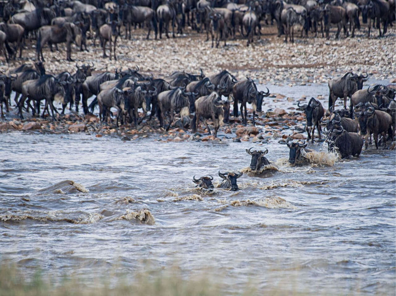 7 Days in the Northern Circuit