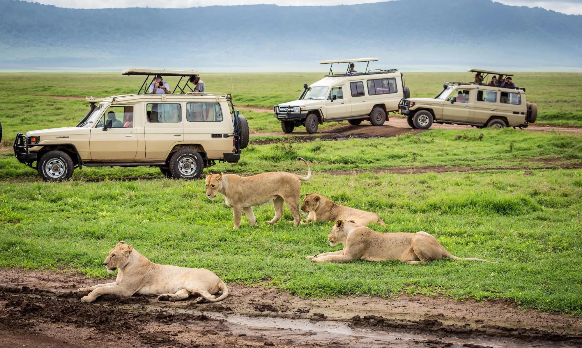 Family Ndutu Safari