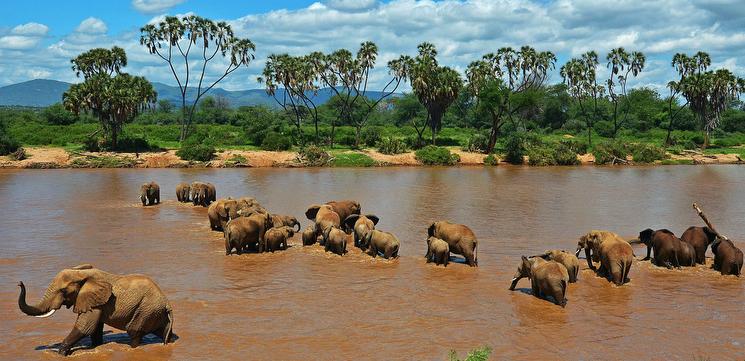 Best of Tanzania: Northern Circuit Safari