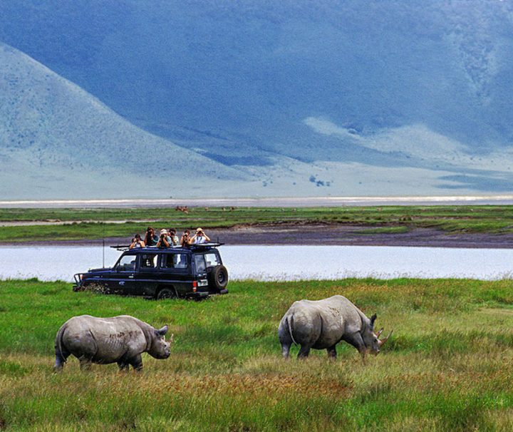 January 2026: Northern Tanzania Safari & Spice Island Escape