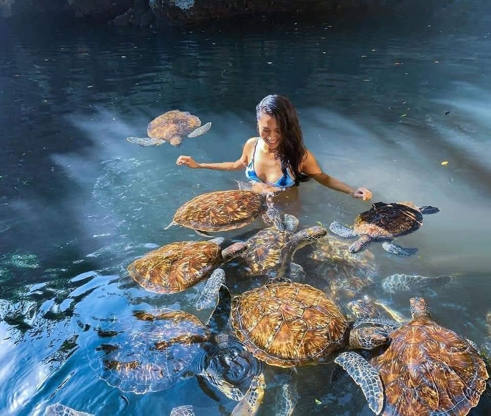 Tanzania Safari & Zanzibar in January