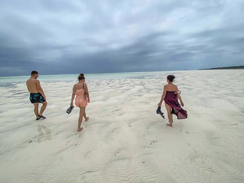 Top Rated Tanzania Safari & Zanzibar Packages for January 2026