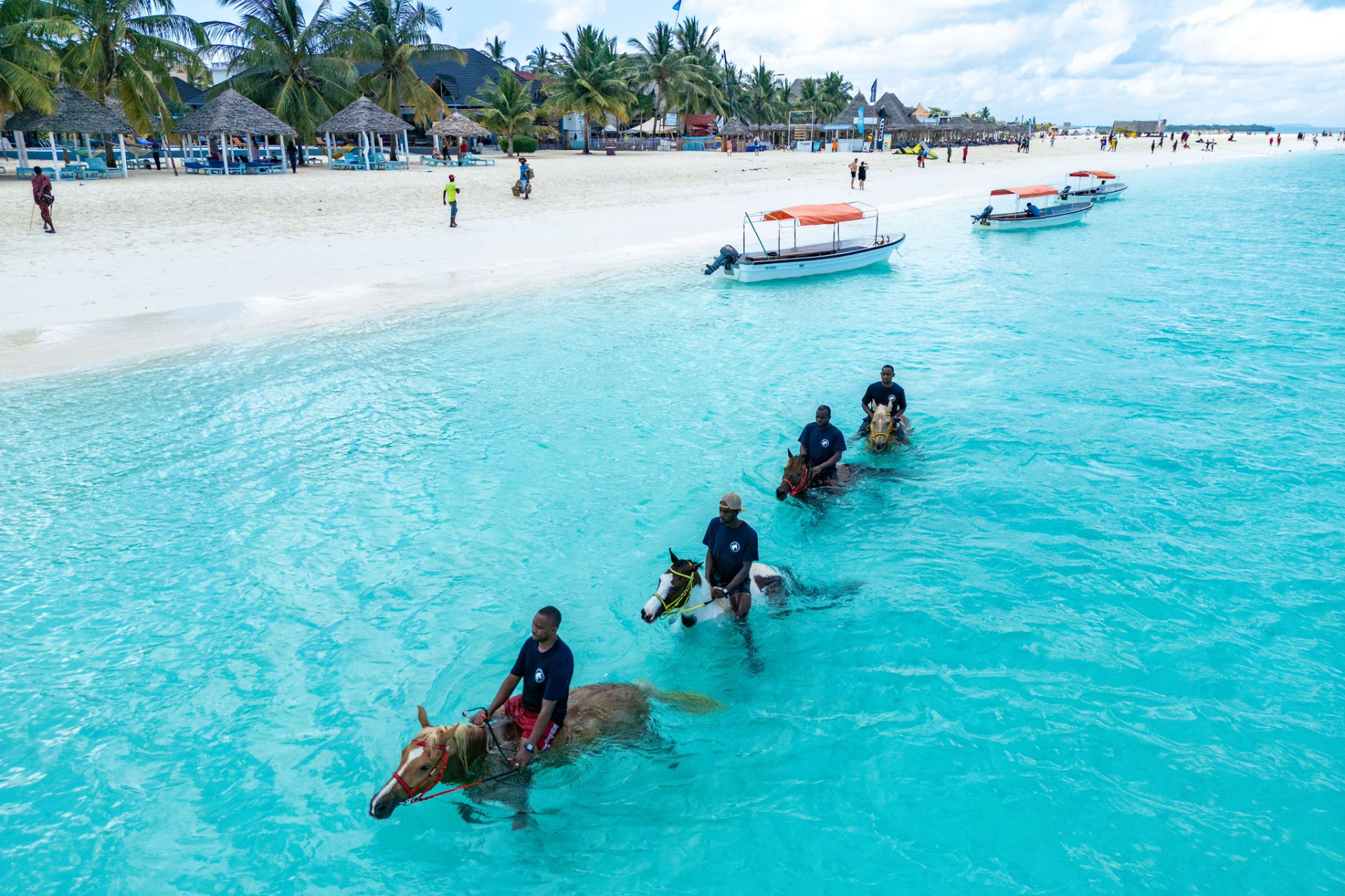 Why January Is the Best Time for a Northern Safari &amp; Zanzibar in 2026