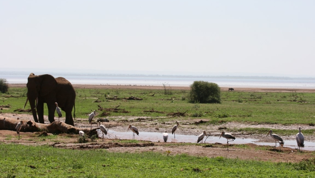 12 Day Luxury Tanzania Northern Safari and Zanzibar Beach Holiday