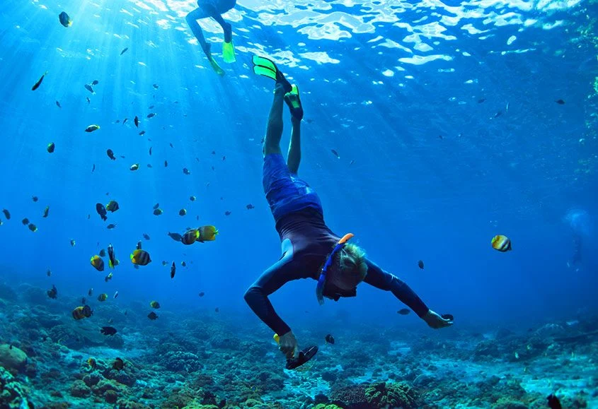 12 Day Luxury Tanzania Northern Safari and Zanzibar Beach Holiday