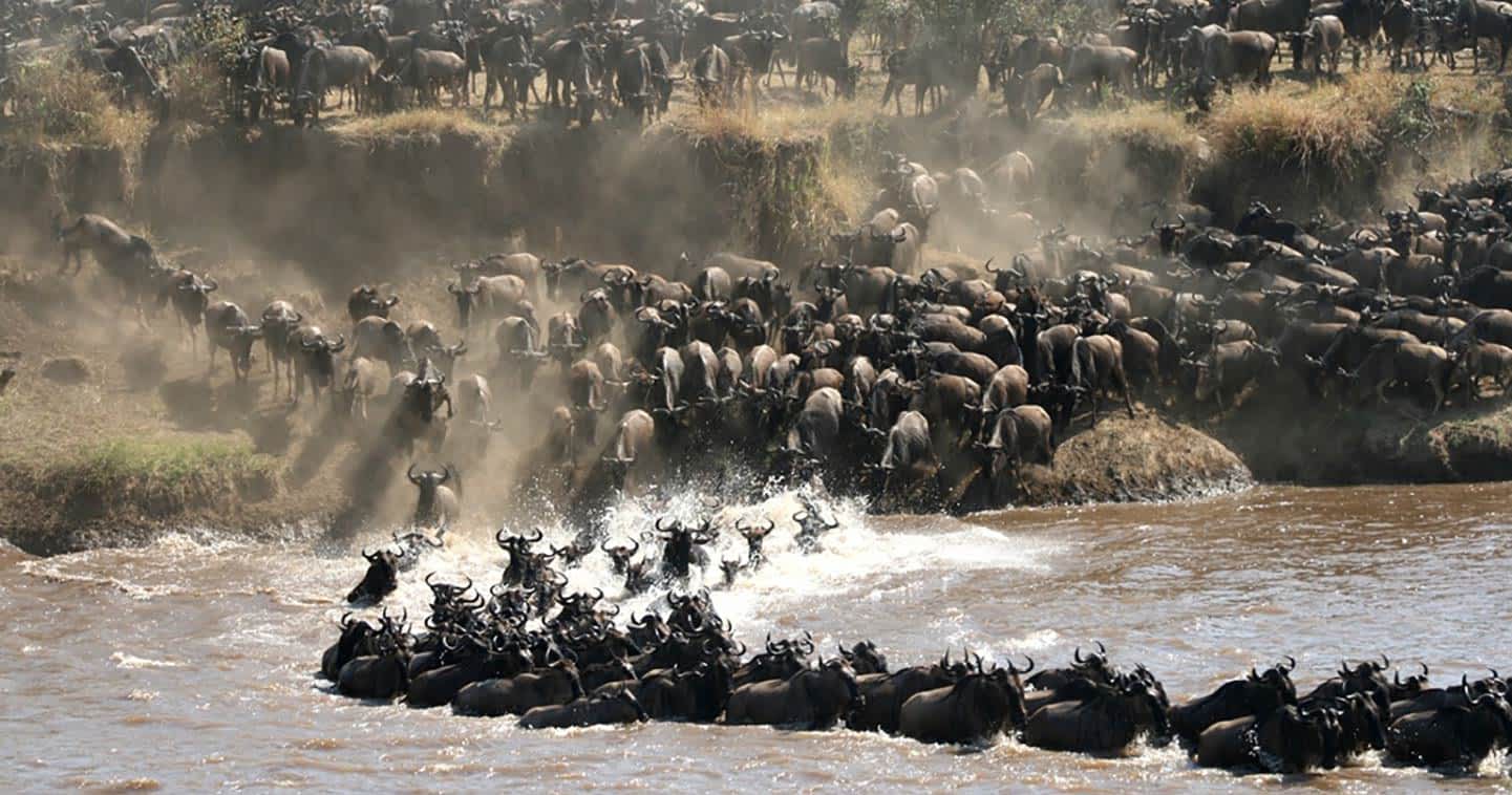 Best 10 Day Serengeti Migration Safari and Zanzibar Tropical Escape