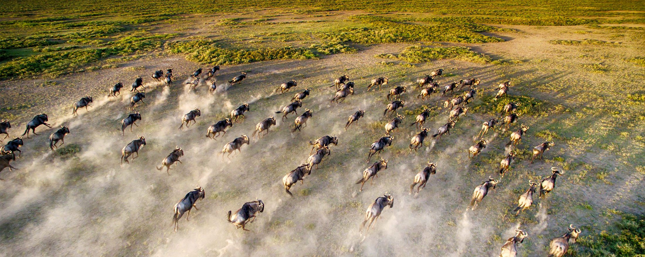 Ultimate 14 Day Northern Circuit Adventure and Zanzibar Luxury Retreat