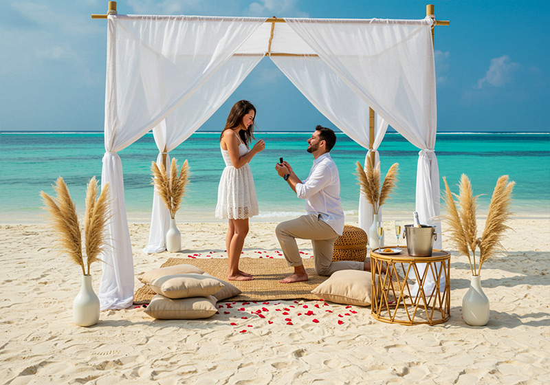 Valentine Discount Special: February Serengeti Calving Safari and Zanzibar Beach Escape