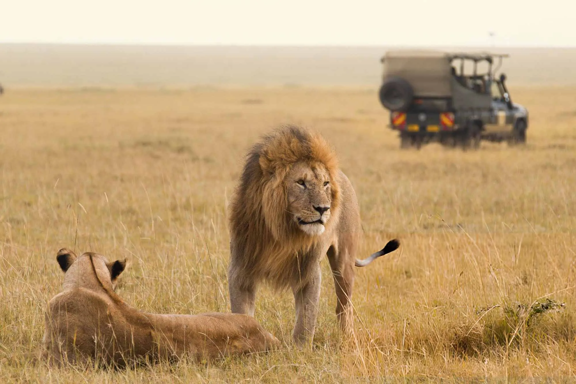February Valentine Safari Escape: Serengeti, Ngorongoro and Zanzibar