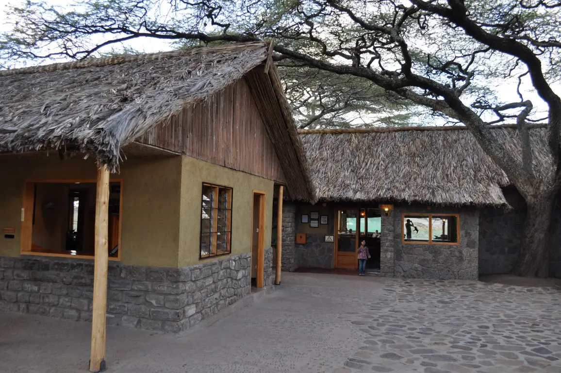 Why February Is the Best Month for an Ndutu Calving Safari