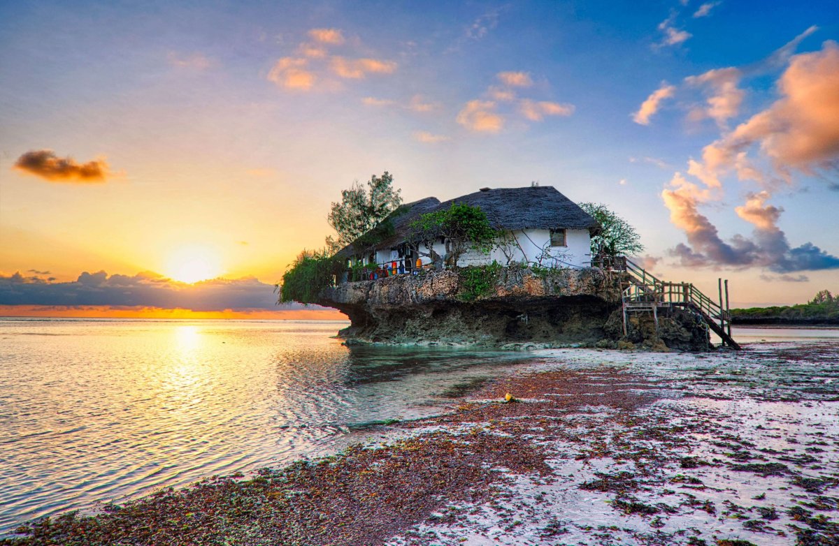 Safari and Sea: Combining Ndutu Calving with a Zanzibar Holiday