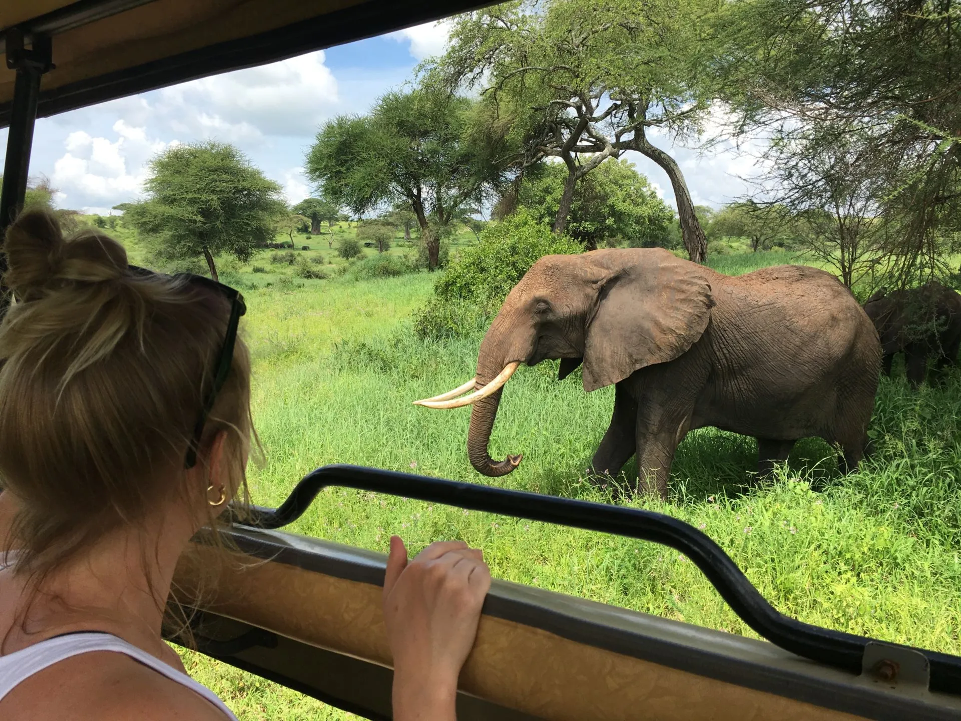 February in Serengeti National Park: The Calving Season Experience