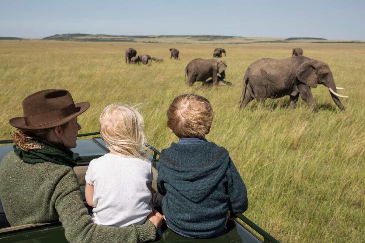 Why Serengeti National Park Is Perfect for a Family Safari in February