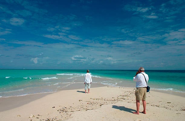 Is March a Good Time to Visit Tanzania? (2026 Travel Guide by Tanzania Safari Source)