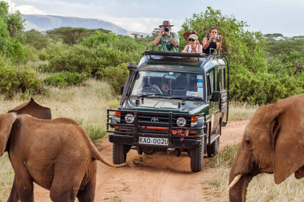 Top 10 Safari Mistakes First Time Travelers Make (and How to Avoid Them)