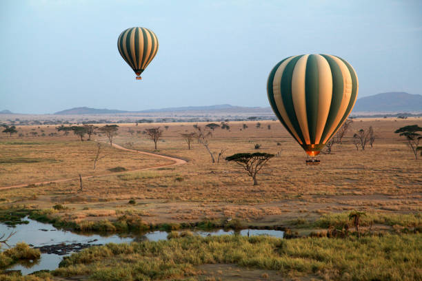 How Much Does a Tanzania Safari Cost in 2026? Complete Price Guide