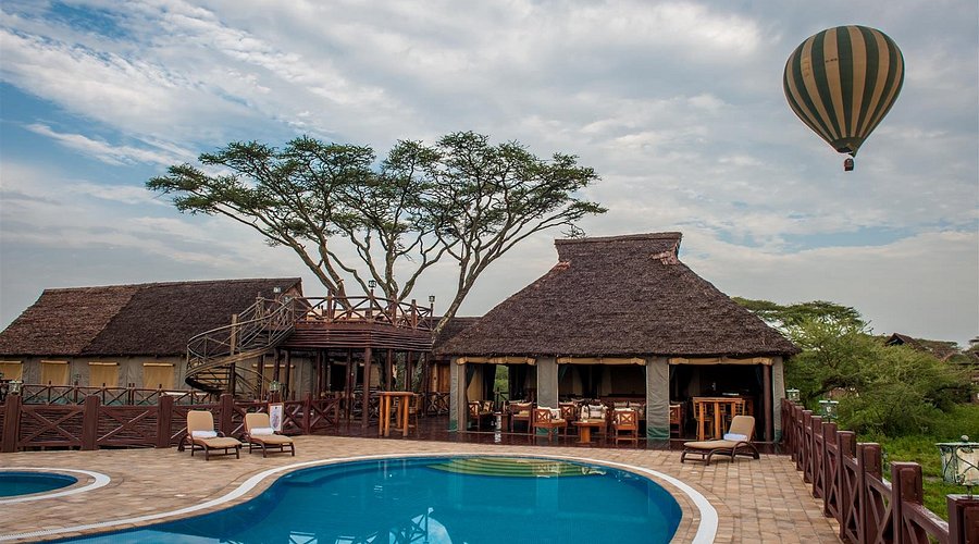 Luxury Safari in Ndutu: Top Camps and Lodges to Book
