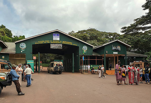 Your 2026 Serengeti Safari Itinerary: From Tarangire to Ngorongoro