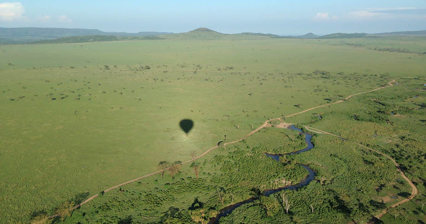Witness the Great Migration in 2026: Serengeti Safari Tips