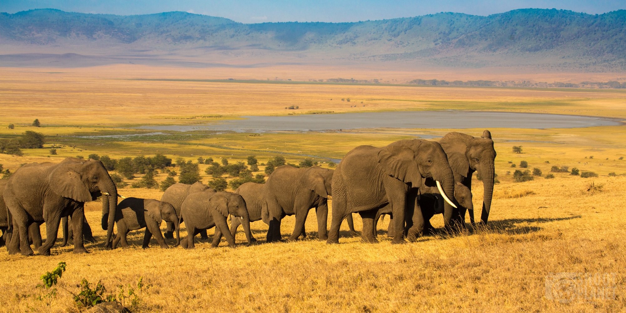 Ngorongoro Crater Safari: A Wildlife Paradise in Tanzania