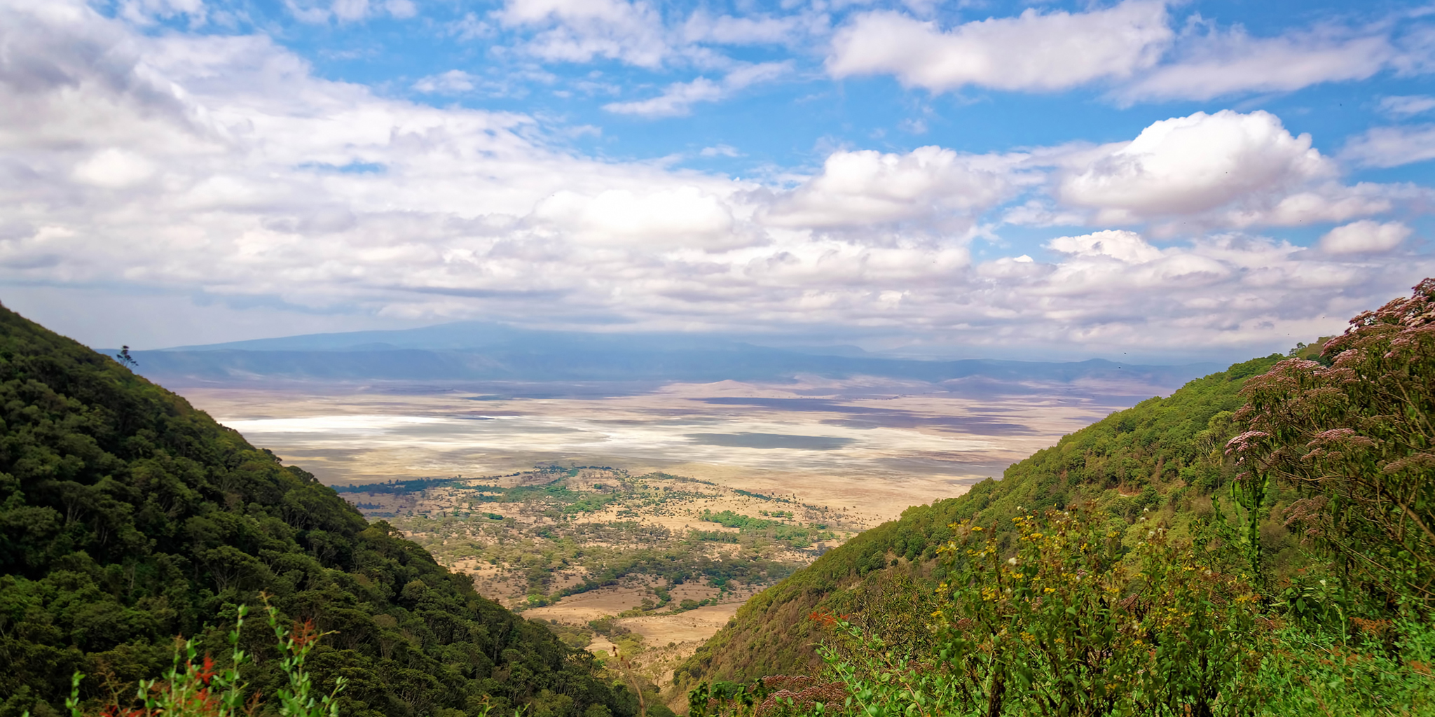 Ngorongoro Crater Safari: A Wildlife Paradise in Tanzania