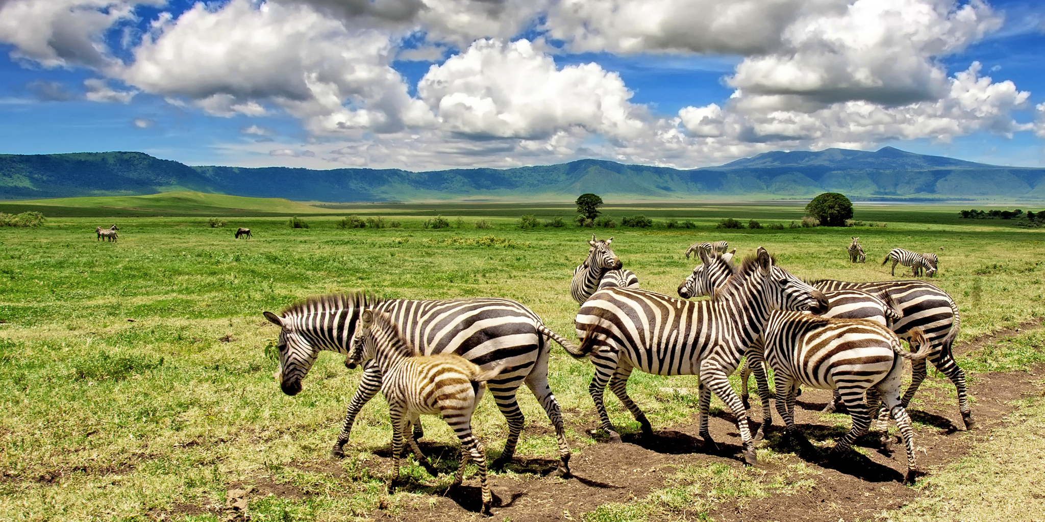 Ngorongoro Crater Safari: A Wildlife Paradise in Tanzania