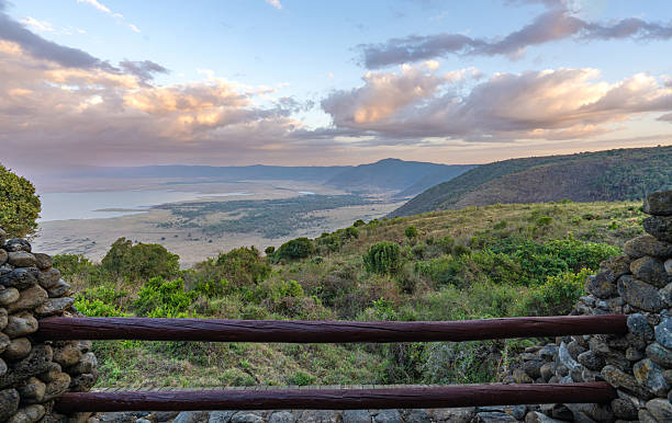 How to Plan the Perfect Ngorongoro and Tarangire Safari in 2026