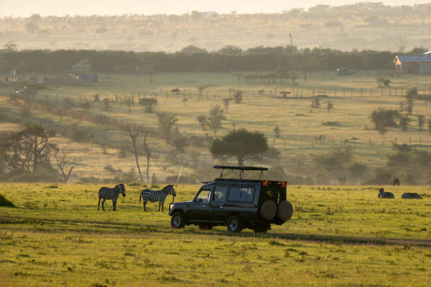 How to Plan the Perfect Ngorongoro and Tarangire Safari in 2026