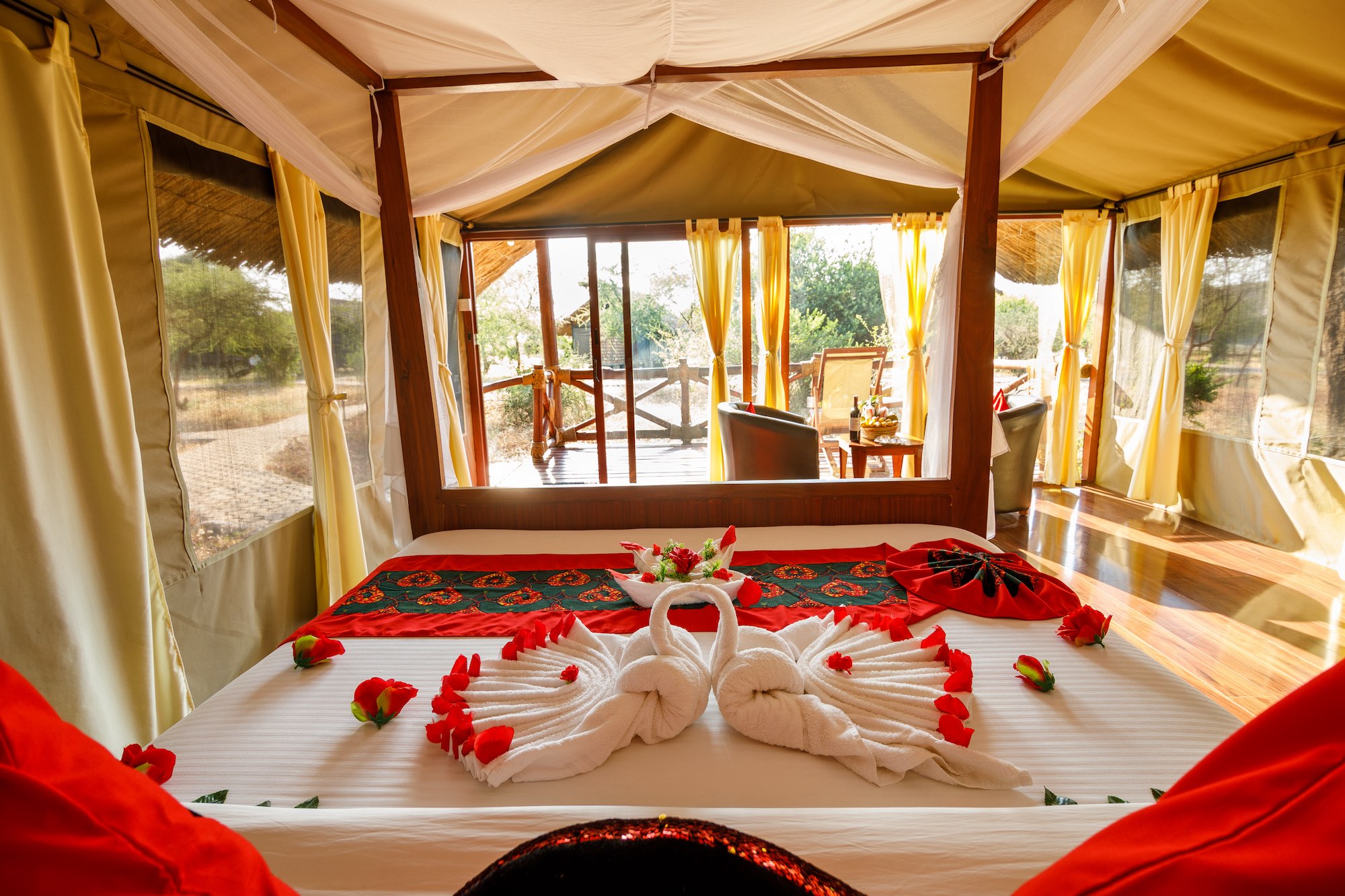 Safari Honeymoon Packages in Tanzania: Romantic Adventures